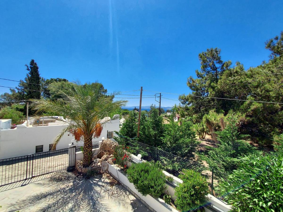Courtyard Studios Πεύκος Εξωτερικό φωτογραφία